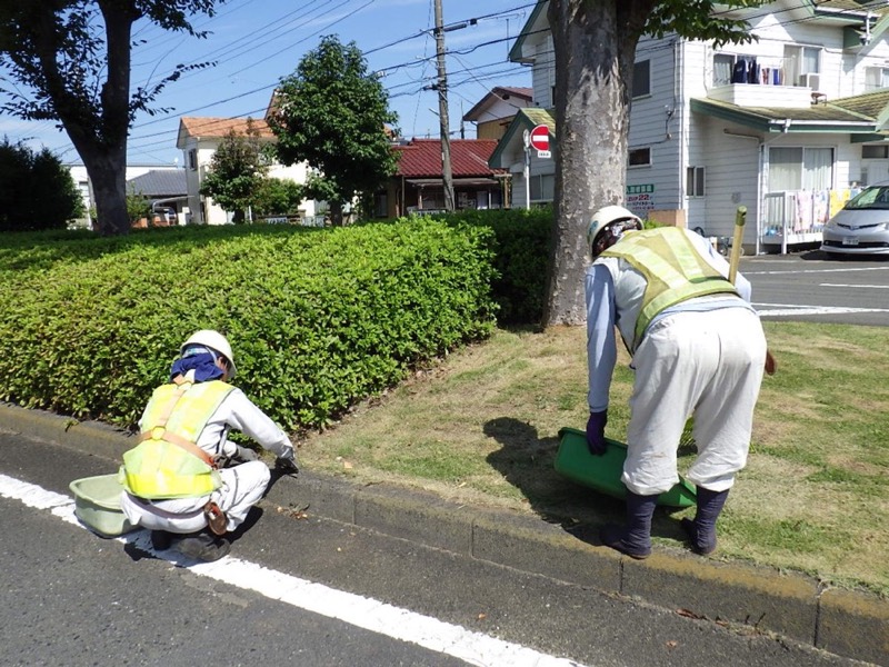 緑地で樹木の手入れを行う作業