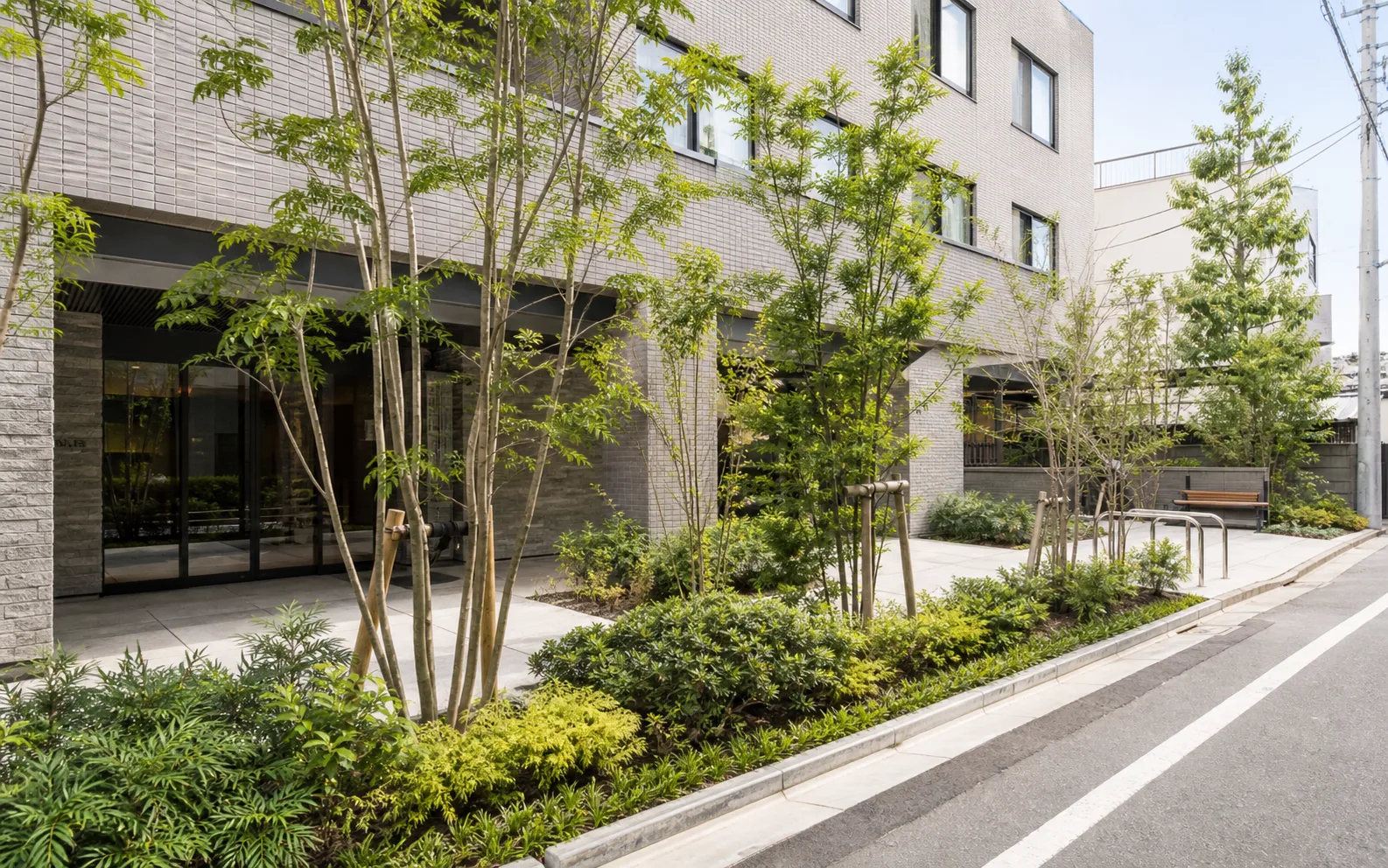 建物前の植栽と街路樹を整えた緑化空間